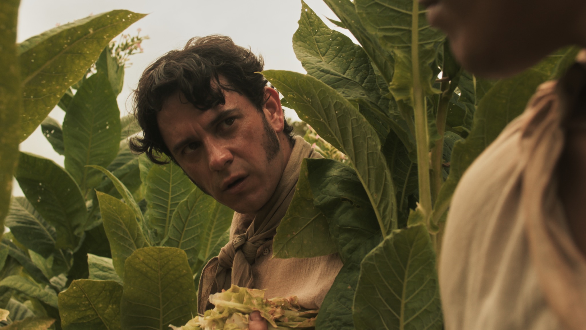 Ni un paso atrás cinematography still 5