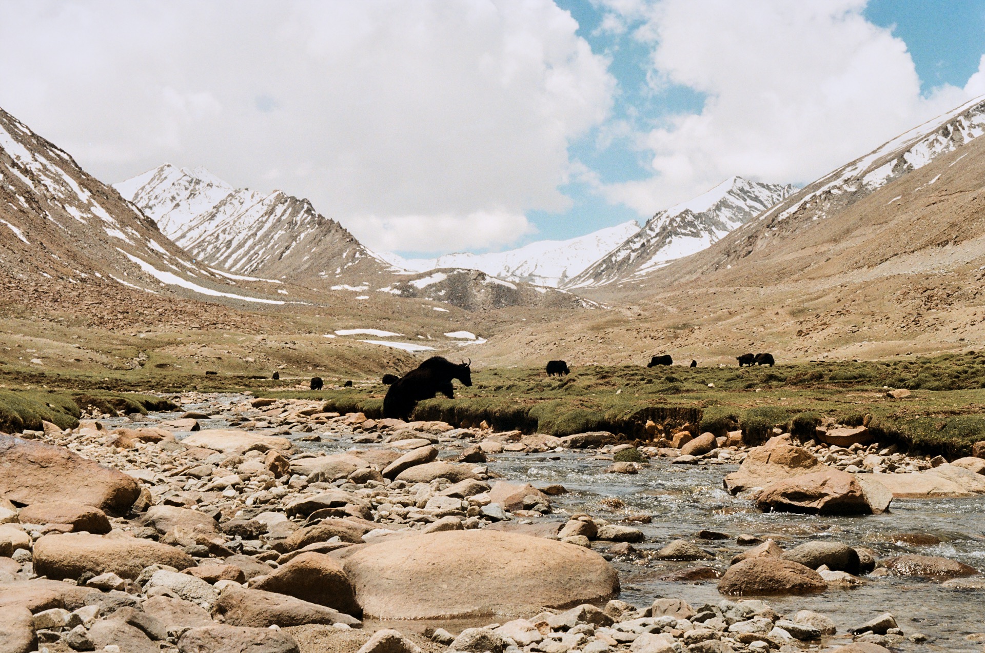 A Fish in Distant Mountains — photograph 11